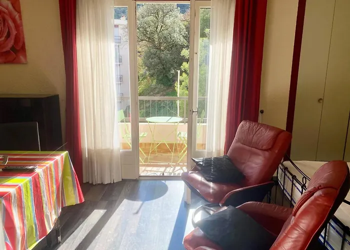 Apartamento Ensoleillé Avec Balcon Et Wifi à Amélie-les-bains - Fr-1-703-220 Amélie-les-Bains-Palalda